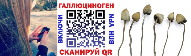 Псилоцибиновые грибы мухоморы купить цена Ветлуга