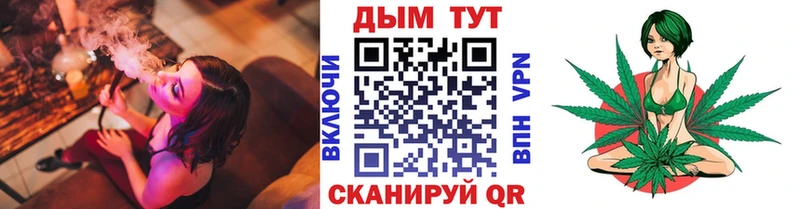 Бошки марихуана Amnesia  как найти наркотики  Ветлуга 